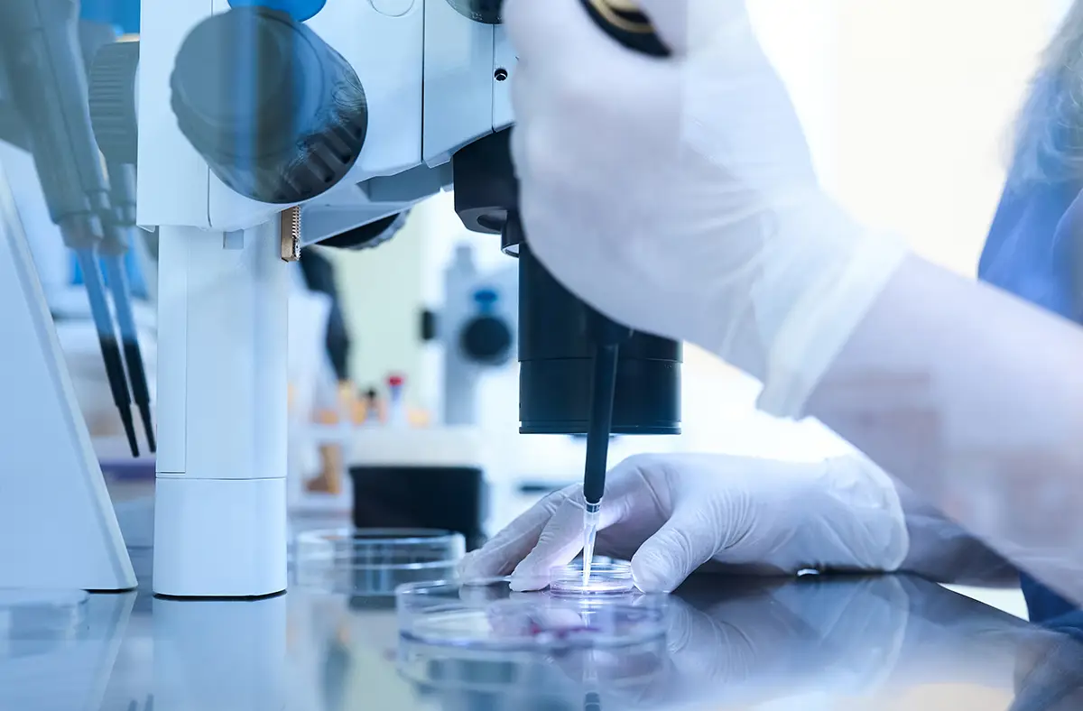 Fécondation In Vitro - Dr Jade Raad